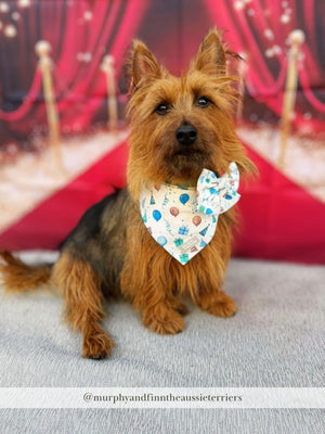 Birthday Boy Bandana & Sailor Bow Tie Set