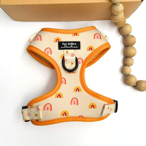 Boho Rainbow Adjustable Dog Harness