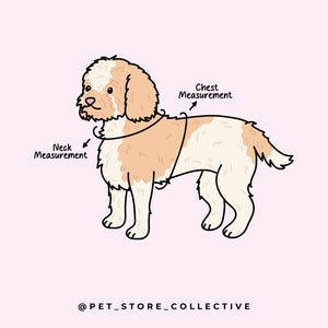 Illustration of a dog showing where to measure the neck and chest for the perfect fit of our Adjustable Dog Harness by Pet Store Collective.