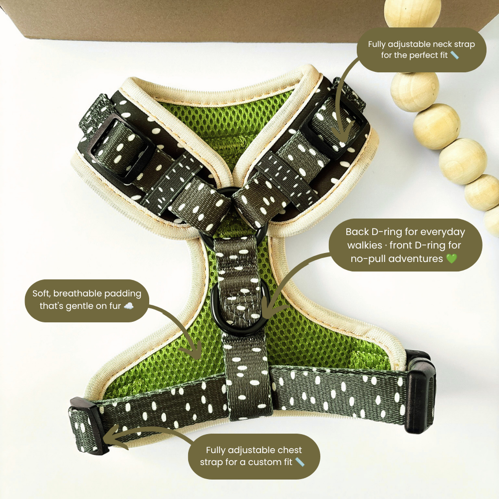 Inside view of Dottie Days dog harness showing adjustable neck & chest straps, dual D-rings and soft breathable mesh padding by Pet Store Collective.
