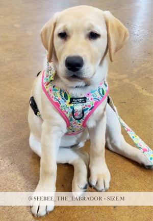 Bloom Floral Adjustable Dog Harness