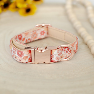 Our adjustable Wildflower Meow Safety Cat Collar in earthy colours, fitting neck sizes 20cm-30cm, suitable for kittens and adult cats. Features a safety release buckle for easy fitting.
