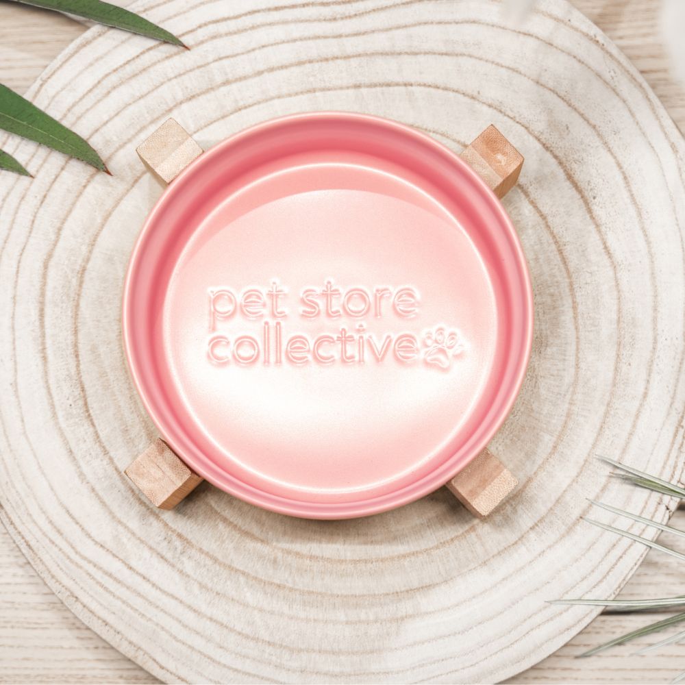 Petal pink ceramic pet bowl top view showing engraved Pet Store Collective logo with bamboo base on wooden board.