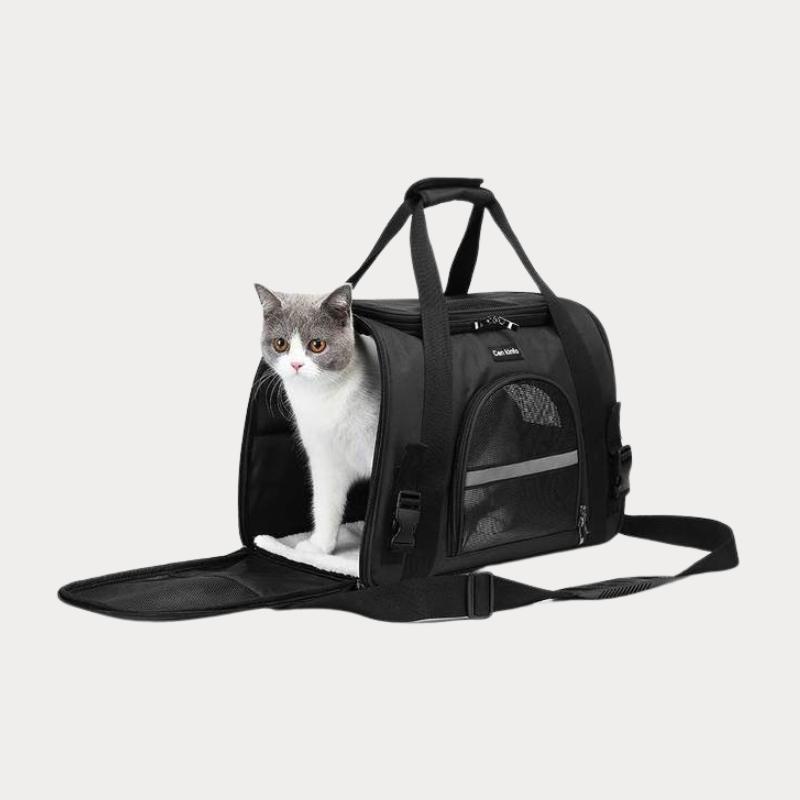 Cat Carriers & Backpacks