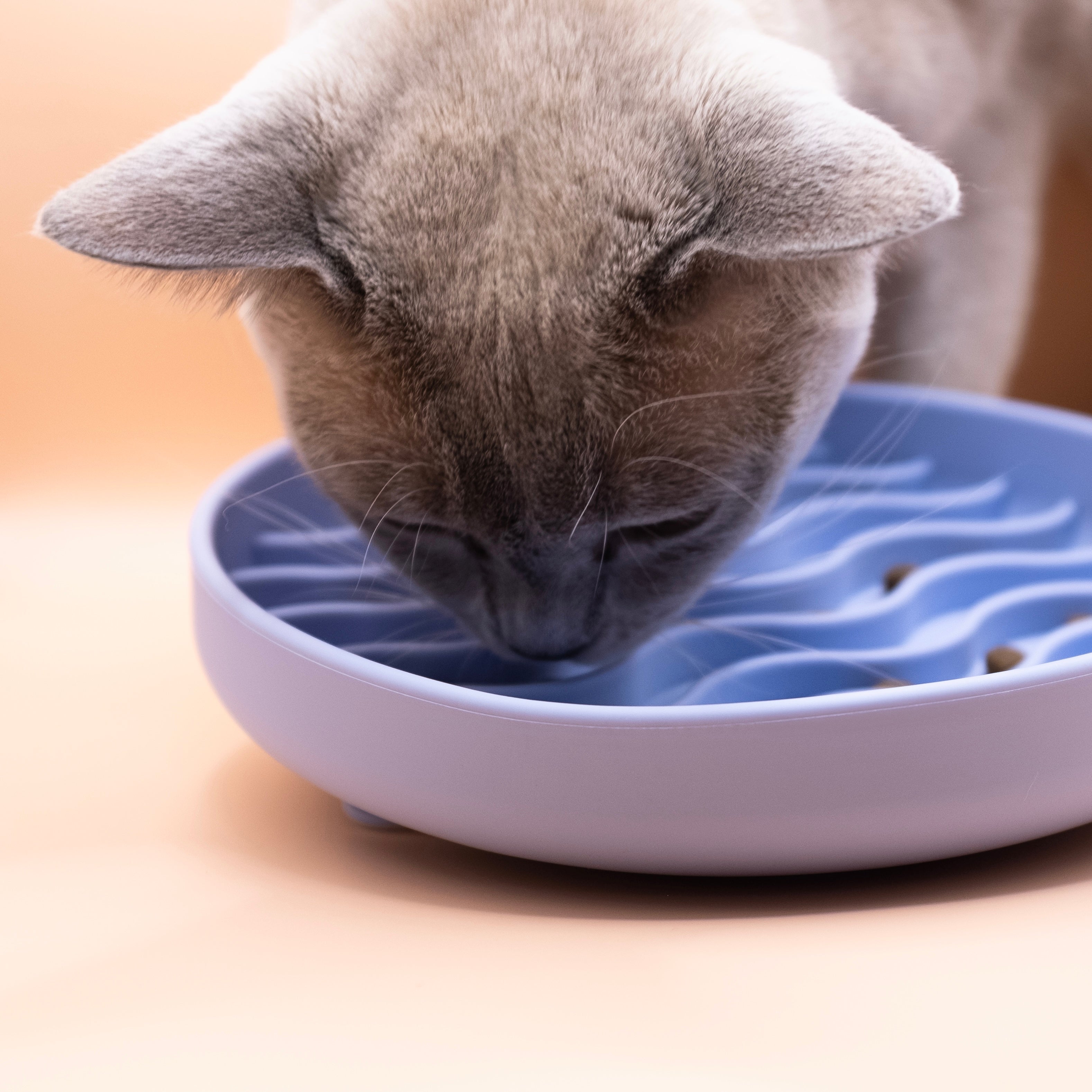 Every Meal Silicone Slow Feeder Pet Bowl - Pet Store Collective
