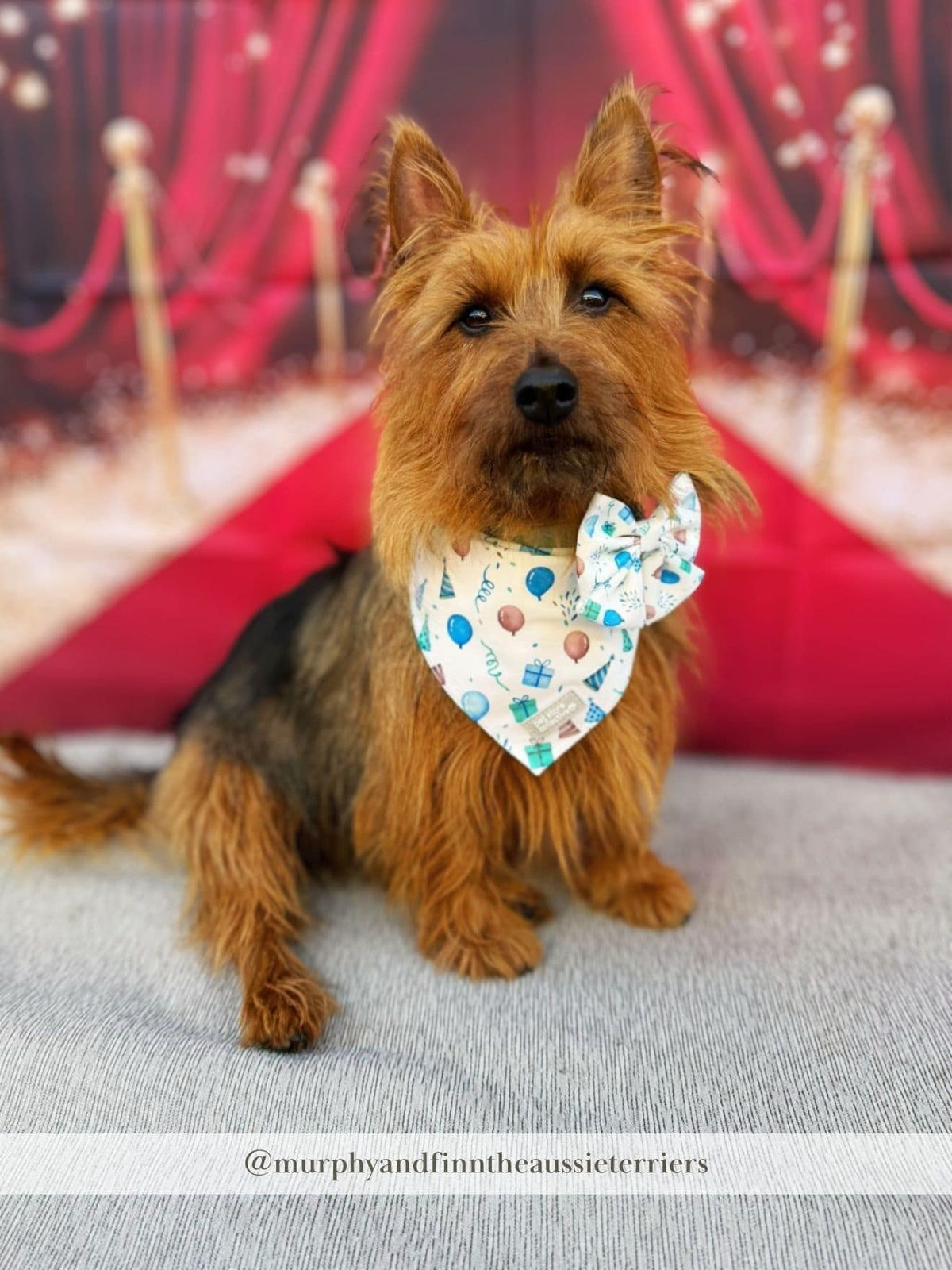 Birthday Boy Bandana & Sailor Bow Tie Set