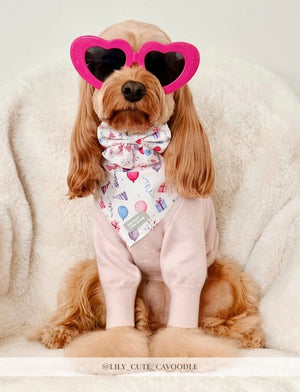 Birthday Girl Bandana & Sailor Bow Tie Set