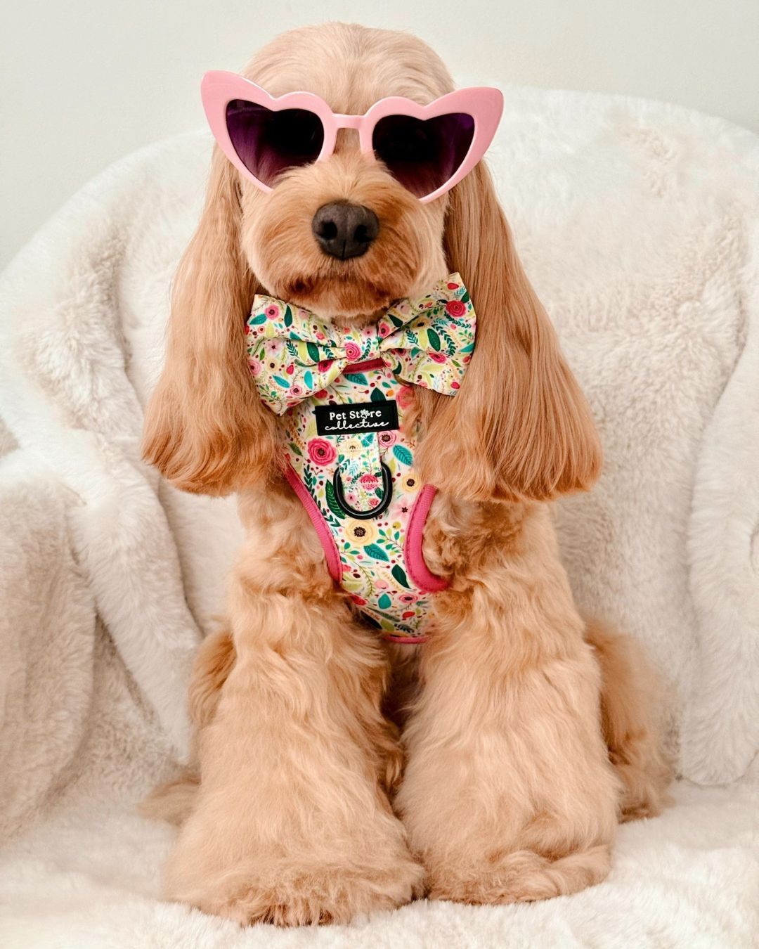 Bloom Floral Adjustable Dog Harness