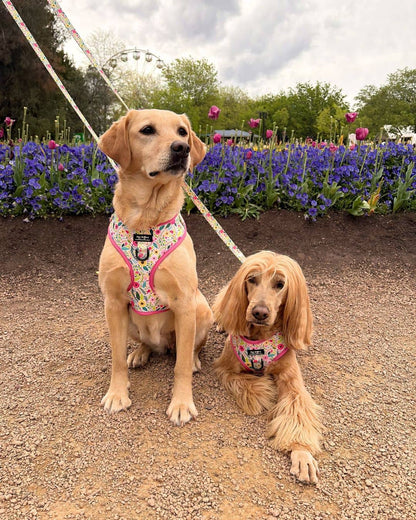 Bloom Floral Adjustable Dog Harness