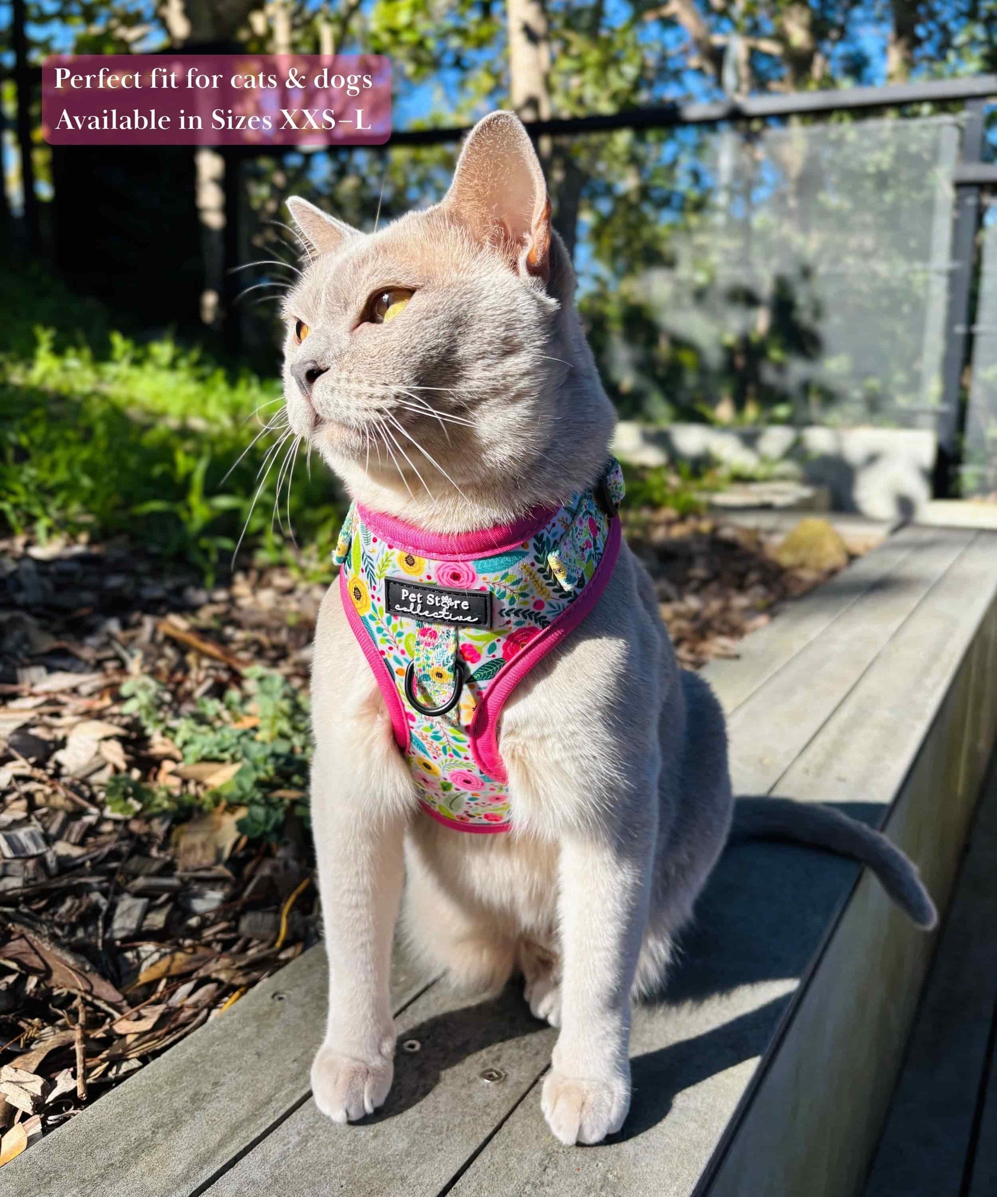 Our cat Luna wearing our XXS Bloom Floral Adjustable Pet Harness, showcasing its fit for both cats and dogs. Featuring adjustable neck and chest straps and sizes ranging from XXS to Large for a perfect, comfortable fit.