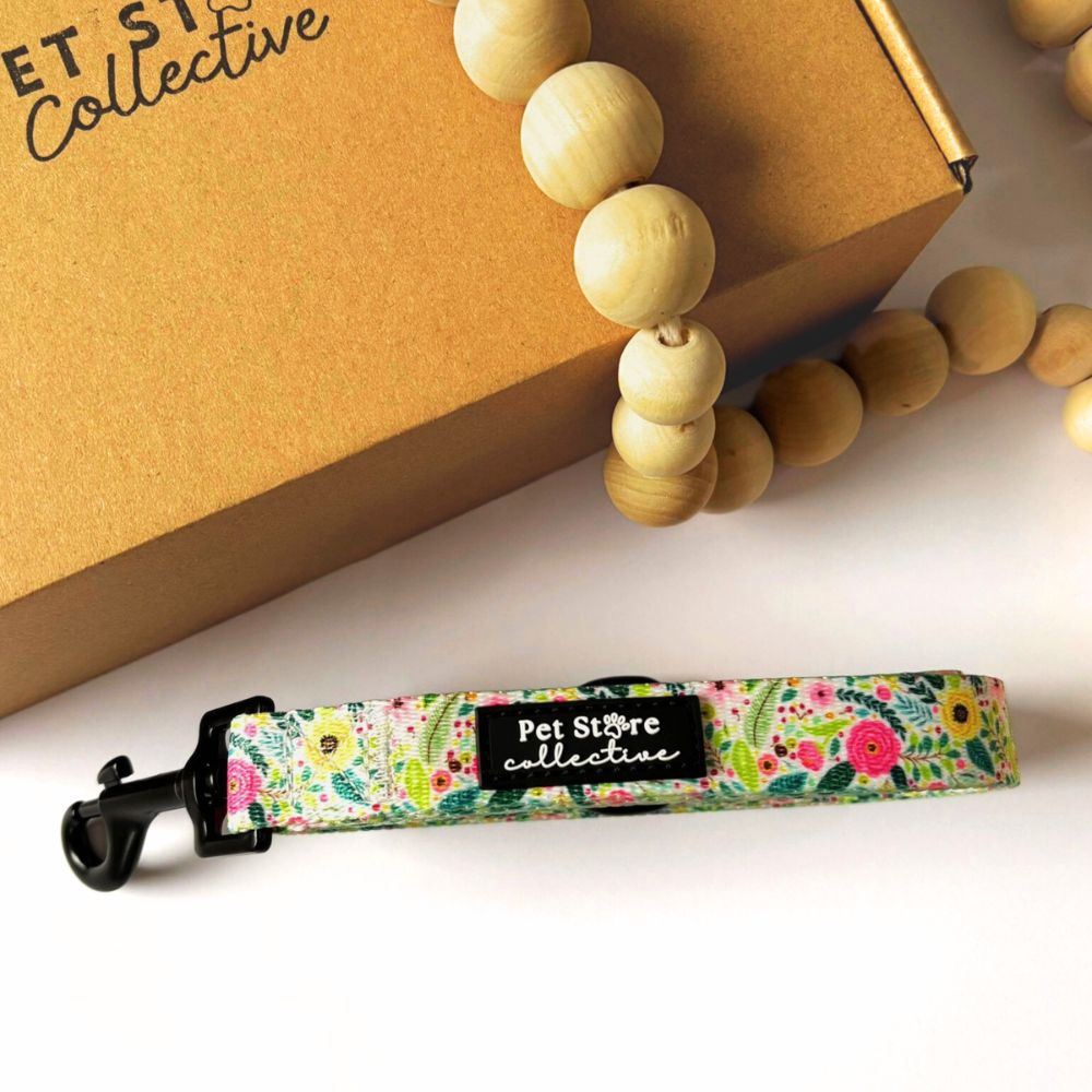 Bloom Floral anti-tangle dog lead, soft neoprene handle, crafted from durable polyester webbing.