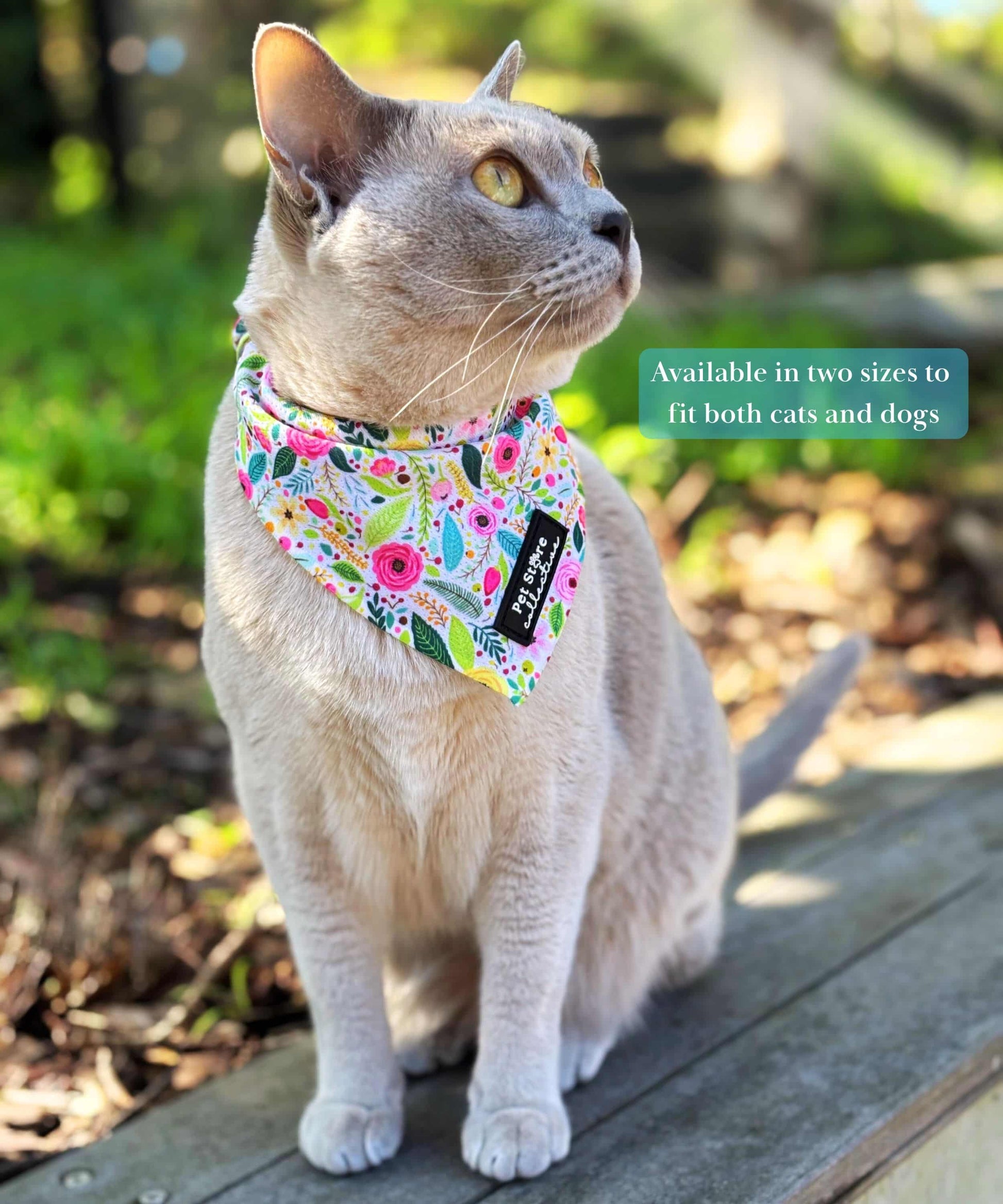 Our cat Luna wearing S/M Bloom Floral Pet Bandana in pink roses and soft green leaf pattern. Lightweight, breathable tie-on pet bandana designed for cats and dogs, with two sizes S/M and M/L.