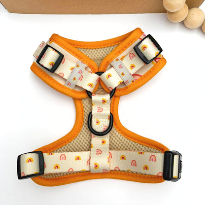 Back view of our fully adjustable dog harness Australia. Featuring our boho rainbow design dog harness with dual D-rings, soft padded edges, and durable design for comfort and training.