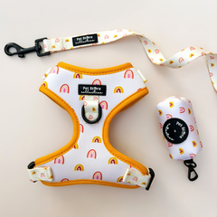 Boho Rainbow Adjustable Dog Harness
