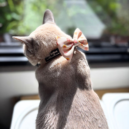 Lilac Burmese cat wearing Pet Store Collective Boho Rainbow Dog Bow Tie with matching XS boho rainbow pet collar. Featuring golden rainbow design in peach and yellow tones. Lightweight velcro bow tie attaches to collars for dogs and cats.