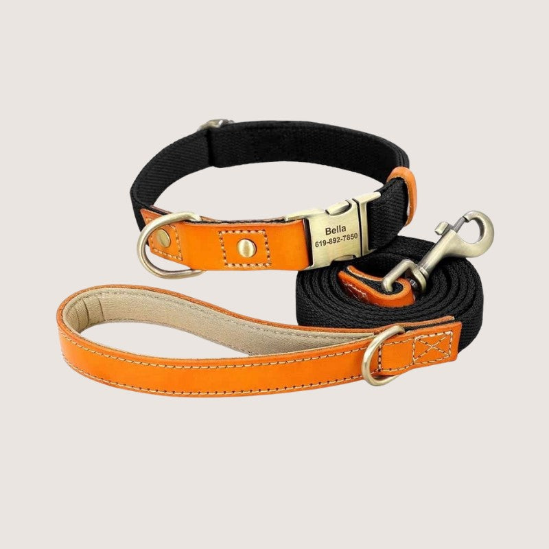 Custom Pet Collars Matching Leads Pet Store Collective