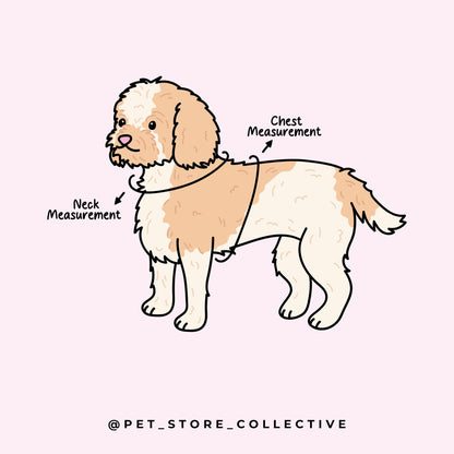 Illustration of a dog showing how to measure around the neck and chest for the perfect fit of our Adjustable Dog Harness at Pet Store Collective.