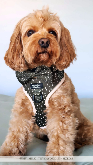 Dottie Days Adjustable Dog Harness