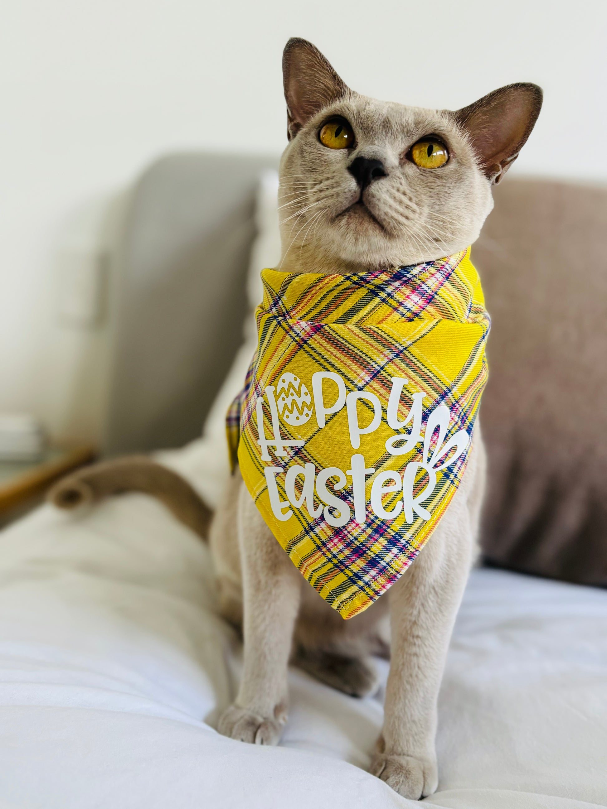 Cat Wearing Yellow Bandana: Adorable Easter pet bandanas with charming gingham patterns, made from breathable and durable cotton for comfort and style. Adjustable neck circumference of 25-42 cm ensures a perfect fit for pets of all sizes. Elevate your pet's Easter style.