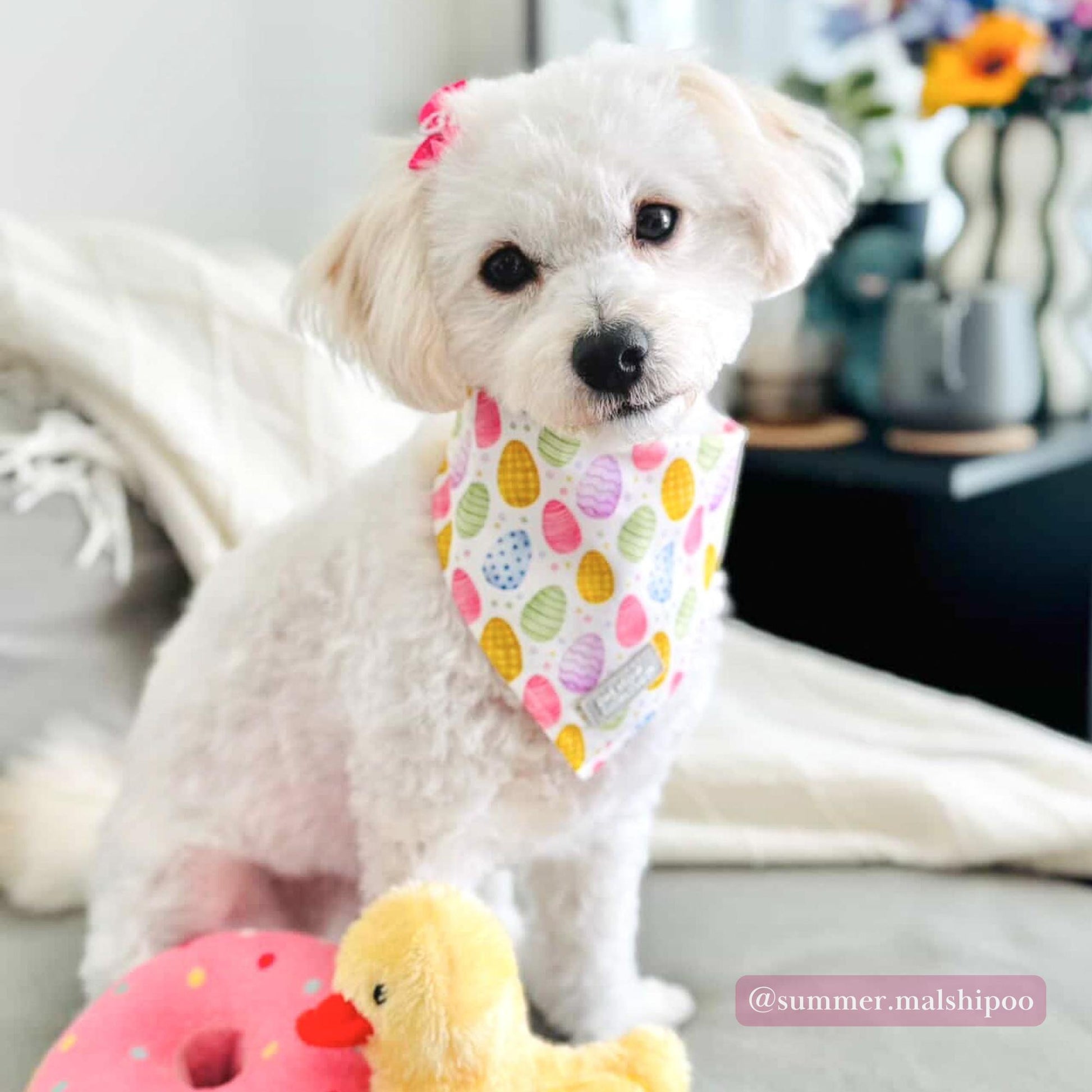 Small white dog wearing Easter dog bandana with pastel easter egg print. Soft and comfortable fit perfect for Easter photos and special moments.
