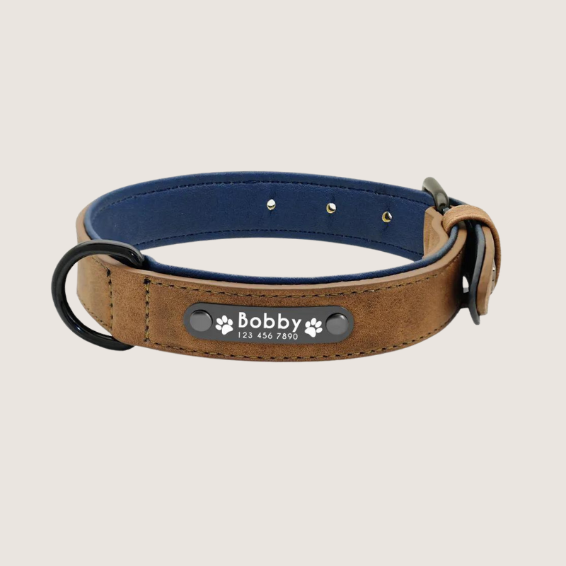 Coffee Colour: Personalised Leather Dog Collar with ID Tags - Stylish and durable collar for small, medium, and large dogs. Engraved stainless-steel nameplate for safety. Vibrant colours and secure fit with D-ring for lead attachment and easy adjustable range to find the perfect fit for your furry friend.