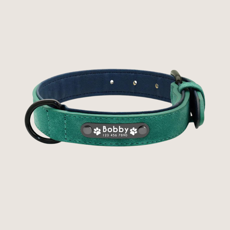 Green Colour: Personalised Leather Dog Collar with ID Tags - Stylish and durable collar for small, medium, and large dogs. Engraved stainless-steel nameplate for safety. Vibrant colours and secure fit with D-ring for lead attachment and easy adjustable range to find the perfect fit for your furry friend.