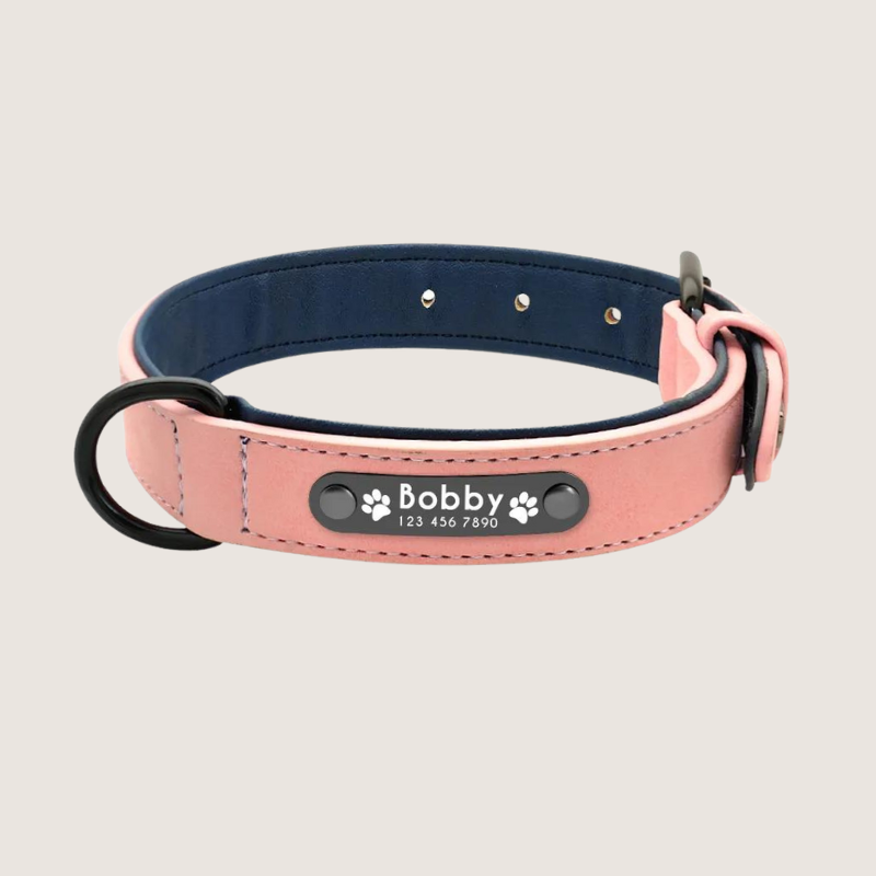 Pink Colour: Personalised Leather Dog Collar with ID Tags - Stylish and durable collar for small, medium, and large dogs. Engraved stainless-steel nameplate for safety. Vibrant colours and secure fit with D-ring for lead attachment and easy adjustable range to find the perfect fit for your furry friend.