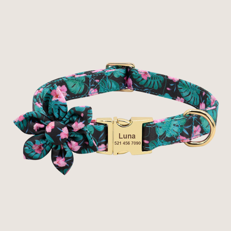 Vibrant personalised pet collar collection featuring detachable flower accessory and D-ring for lead attachment. Prioritises comfort, style, and safety in small, medium, and large sizes. Durable zinc alloy hardware ensures longevity and includes free engraving for personalisation. Available in 22 unique prints.