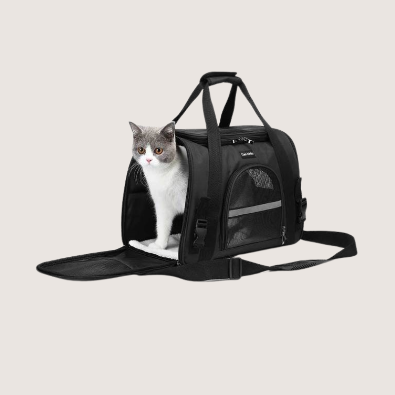 Black Collapsible Pet Carrier with Safety Features and Mesh Windows - Dimensions: Length: 43.5CM, Width: 25.5CM, Height: 28CM. Maximum Pet Weight: 5KG. Perfect for small dogs and cats, featuring a front pocket for essentials and mesh windows for ventilation. Includes inner lead attachment, secure car seat buckles, durable metal zippers, and a removable, machine-washable cushion. Comfortable over-the-shoulder strap for easy carrying. 30-day money-back guarantee for satisfaction.