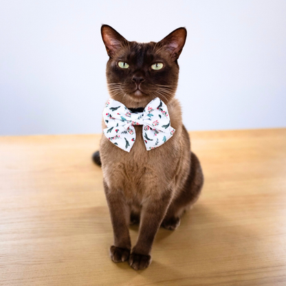 Chocolate Burmese cat wearing the limited-edition Mistletoe Bandana from Pet Store Collective. Pops of red berries and green leaves on a crisp white background. Bandana S/M (25-47cm neck).