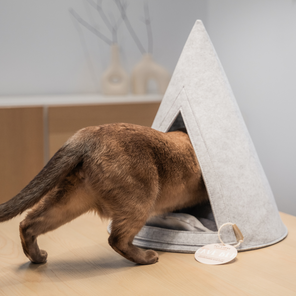 Burmese cat entering our Sustainable Cat Cave Bed, made from light grey, eco-friendly materials, offering a secure and modern design for comfort and relaxation.