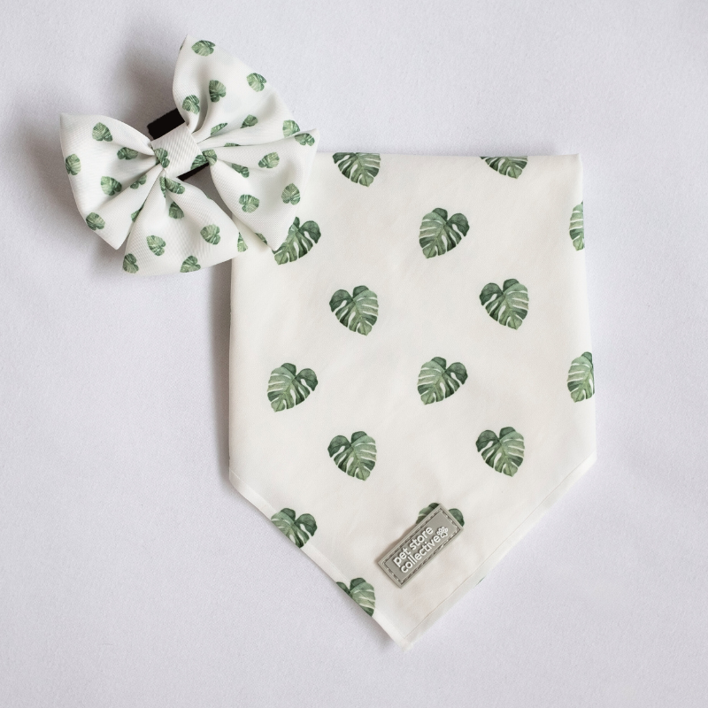 Limited edition Monstera Pet Bandana & Bow Tie Set in two-tone green, featuring tropical leaves. Exclusive design for small-to-medium pets. Soft and lightweight fabric, perfect for summer adventures. Exclusive to Pet Store Collective.