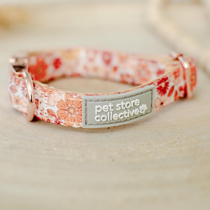 Our Wildflower Meow Safety Cat Collar in earthy colours with a retro flower print and rose gold hardware. Exclusive Pet Store Collective design with custom polyester webbing.