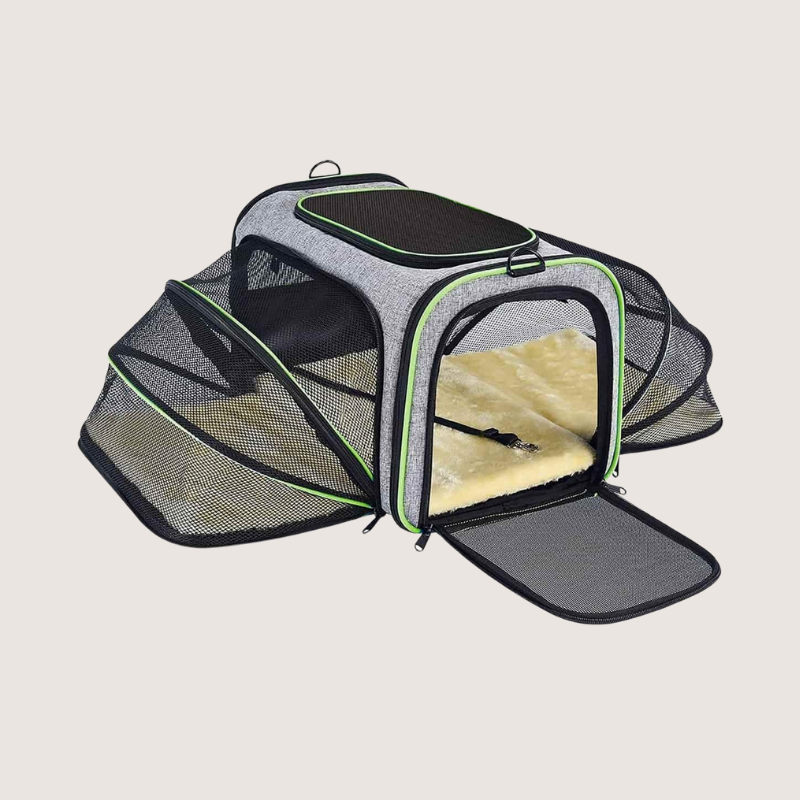 Expandable Comfort: Grey Pet Carrier with Green Rim - Designed for small pets. Each side unzips for an additional 23.9 cm of space. Mesh windows provide visibility and ventilation. Detachable dual-sided pad for all-weather comfort. Reflective band enhances nighttime visibility. Collapsible for easy storage. 30-day money-back guarantee.