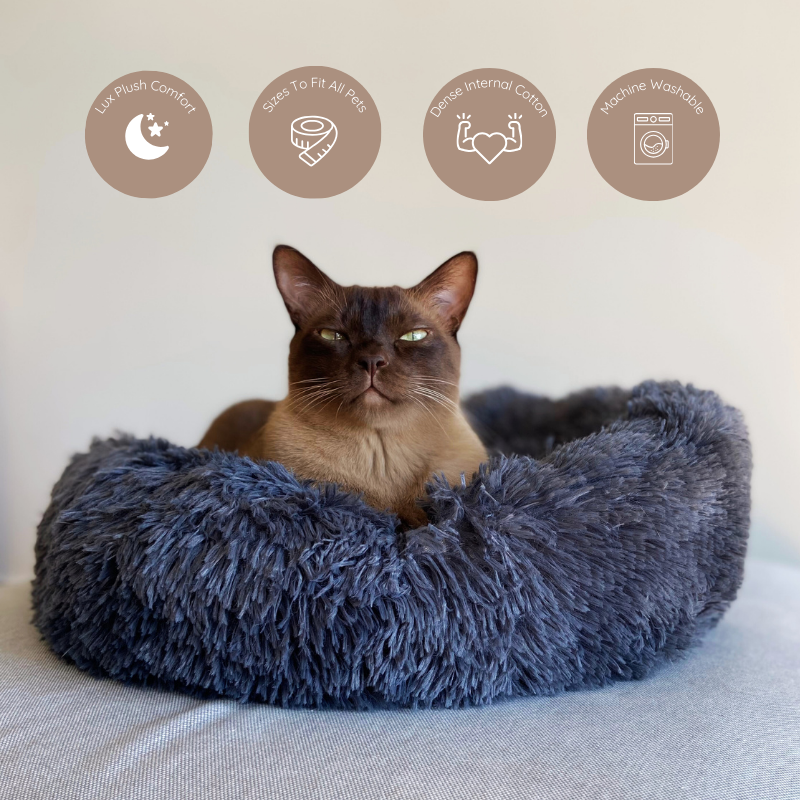 Grey donut pet bed featuring a chocolate Burmese cat comfortably nestled inside. This high-quality bed offers ultimate comfort and security with its circular shape and raised edges that provide excellent support for the cat’s neck and body. Crafted from super-soft materials with 4cm long plush and dense cotton filling, it ensures extra softness and comfort. The bed is machine washable for easy cleaning and comes in sizes ranging from small to extra large, suitable for pets of all sizes.