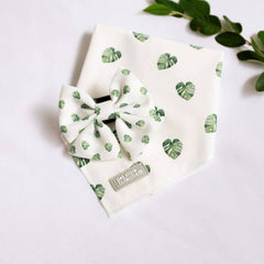 Monstera Bandana and Bow Tie Set - Pet Store Collective