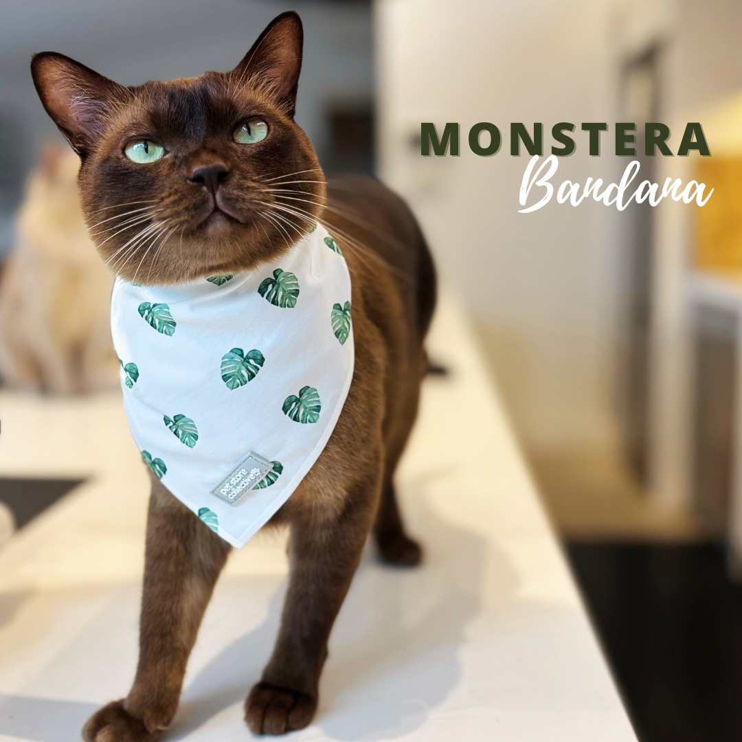 Monstera Bandana and Bow Tie Set