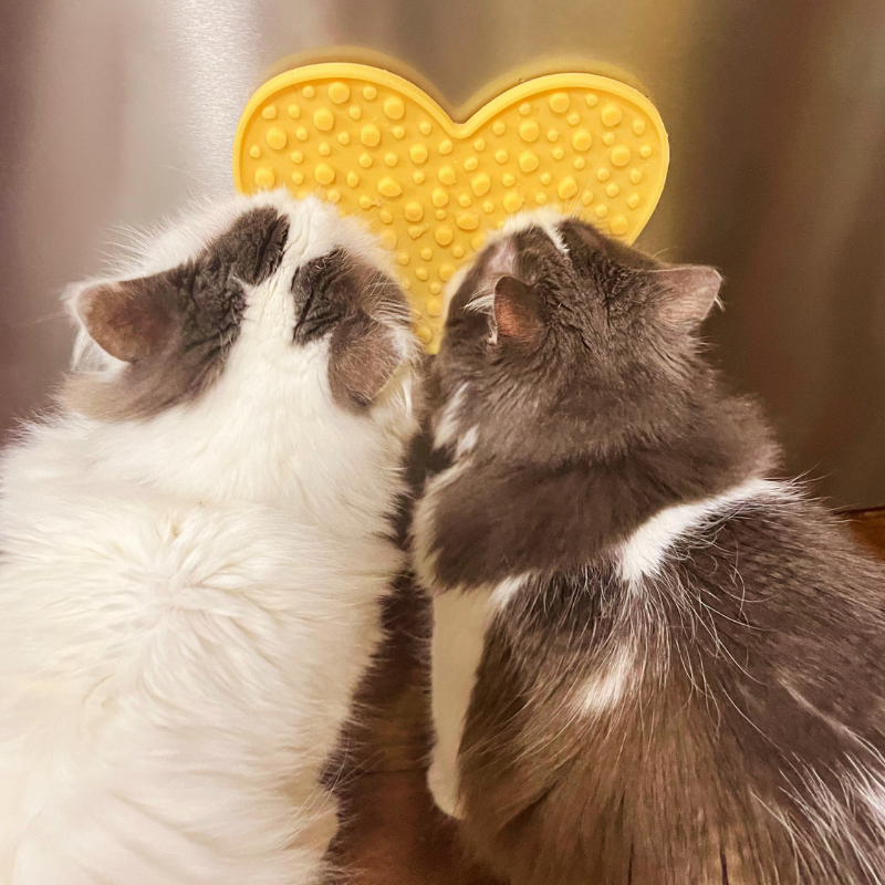 Enriching Heart Lick Mat For Dogs and Cats - Pet Store Collective