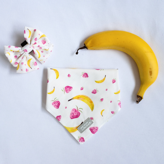 Tropical Fruit Bandana and Bow Tie Set