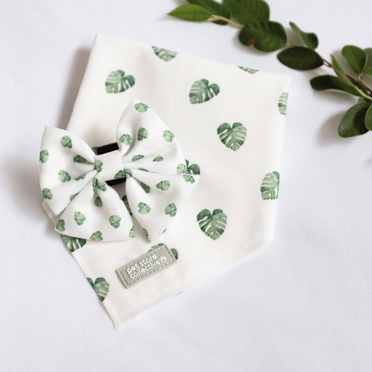 Limited edition Monstera Pet Bandana & Bow Tie Set on a crisp white base with two-tone green leaves. Exclusive to Pet Store Collective, perfect for small-to-medium pets. Bandana S/M (Neck 25-47cm), bow tie L 9cm x H 6cm.