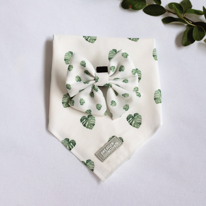 Exclusive limited edition Monstera Bandana & Bow Tie Set with two-tone green leaves on a white background. Perfect for small-to-medium pets, designed by Pet Store Collective. Bandana size S/M, bow tie dimensions L 9cm x H 6cm.