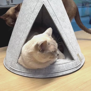 Video showcasing playful cats enjoying our Eco-Friendly Cat Cave Bed made from 100% recycled felt, featuring a cosy design that provides a secure retreat for pets.