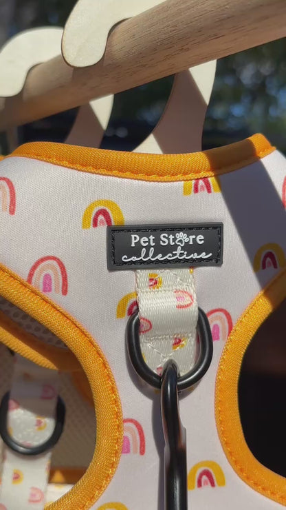 Boho Rainbow Dog Lead