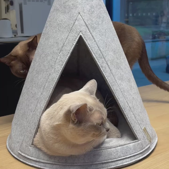 Video showcasing playful cats enjoying our Eco-Friendly Meow Cat Cave Bed made from 100% recycled felt, featuring a cosy design that provides a secure retreat for pets.