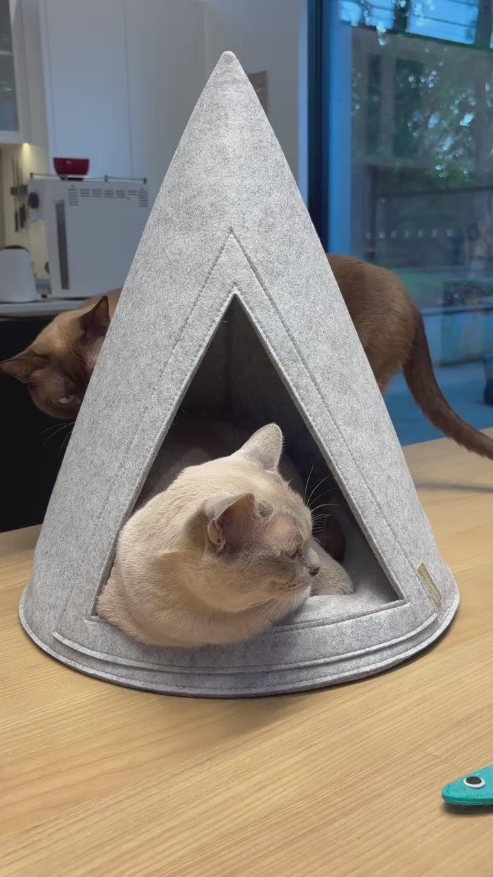 Video showcasing playful cats enjoying our Eco-Friendly Meow Cat Cave Bed made from 100% recycled felt, featuring a cosy design that provides a secure retreat for pets.