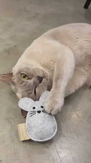 Cat playing with Pet Store Collective organic catnip mouse toy. Handmade from recycled felt, perfect size catnip toy for cats.