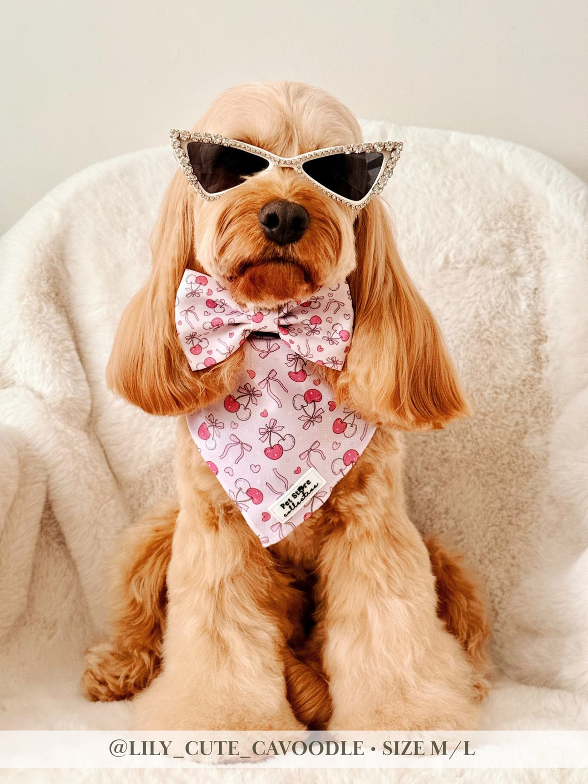 Sweet Cherry Tie-Up Dog & Cat Bandana