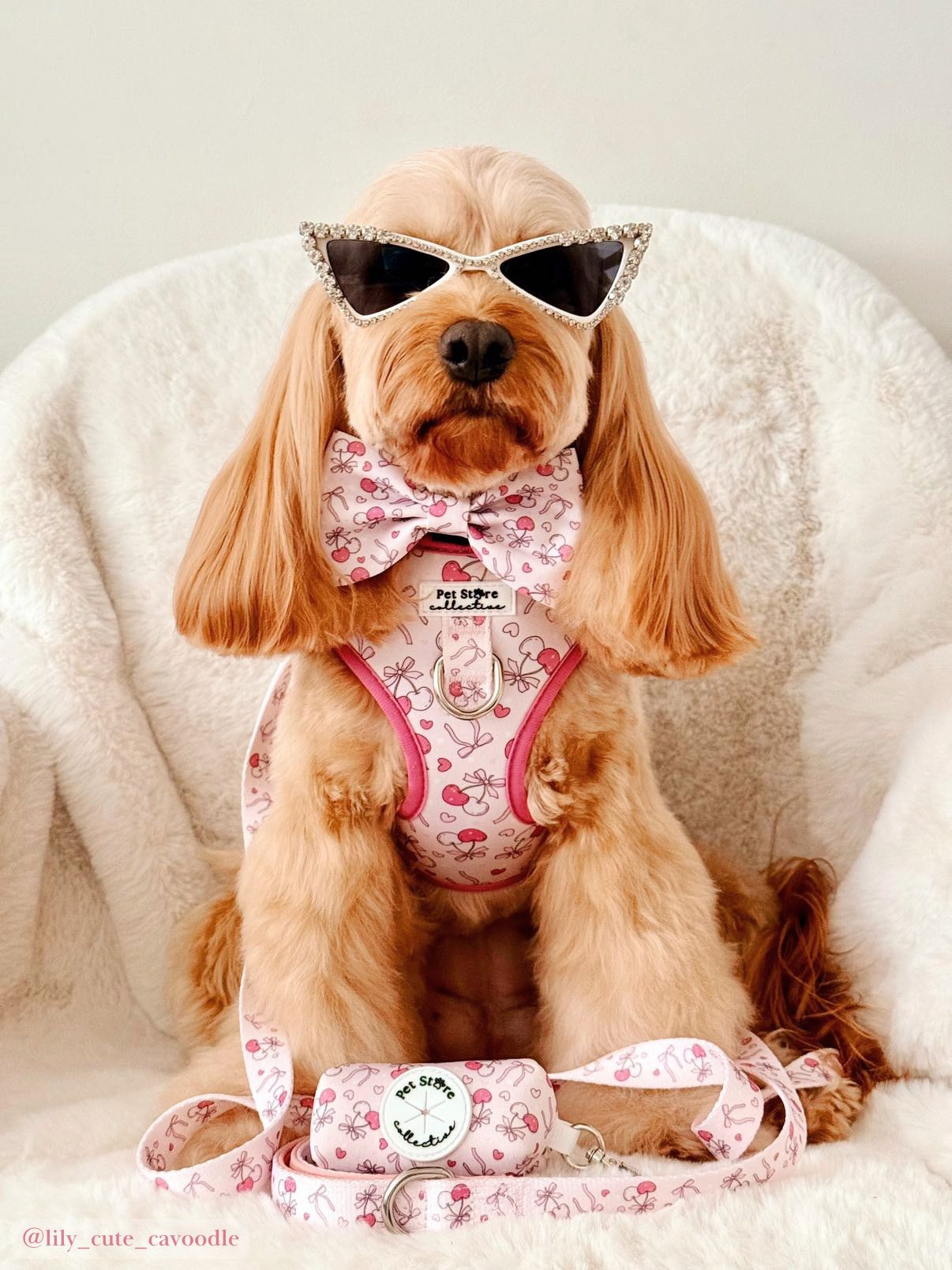 Sweet Cherry Adjustable Dog Harness