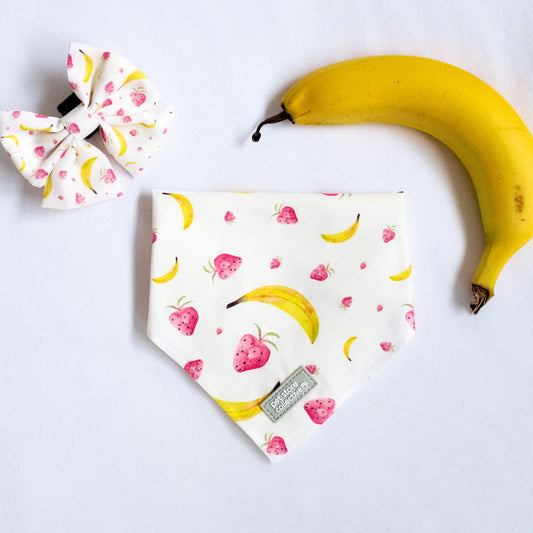 Top view of our Tropical Dog Bandana and Matching Sailor Bowtie in vibrant tropical fruit print, designed for cats and dogs, displayed with a fresh banana for a fun summer vibe.