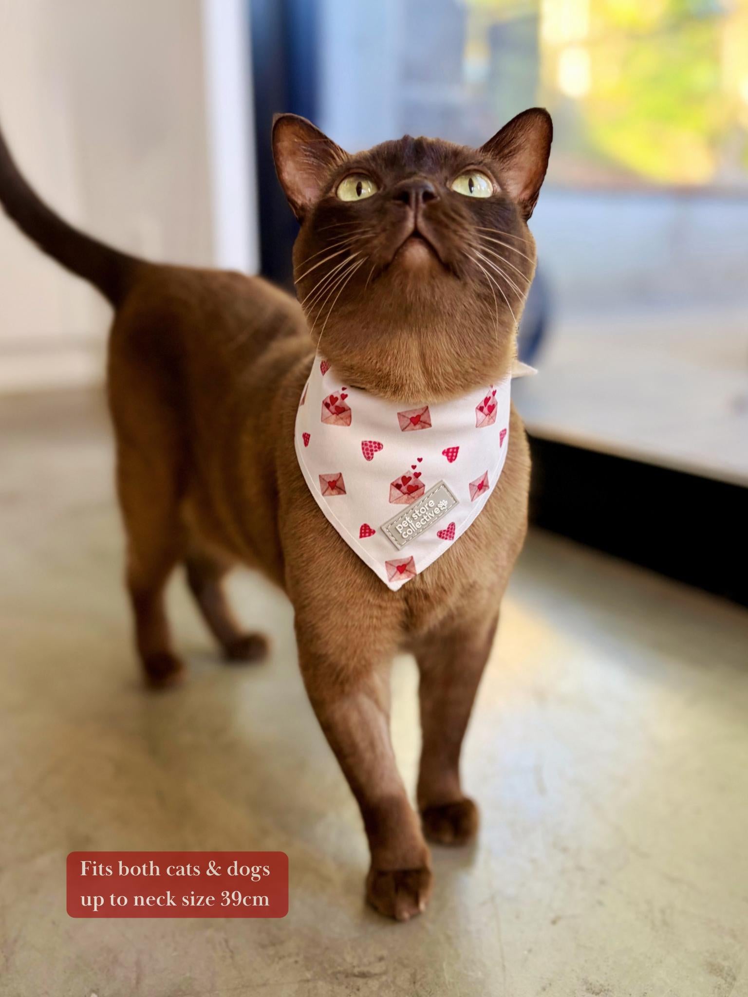 Valentine’s Day Pet Bandana & Sailor Bow Tie Set